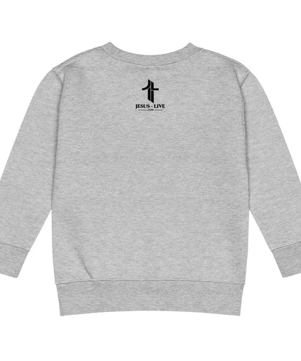 America's 250 patriotic kids sweatshirt in Heather, back view