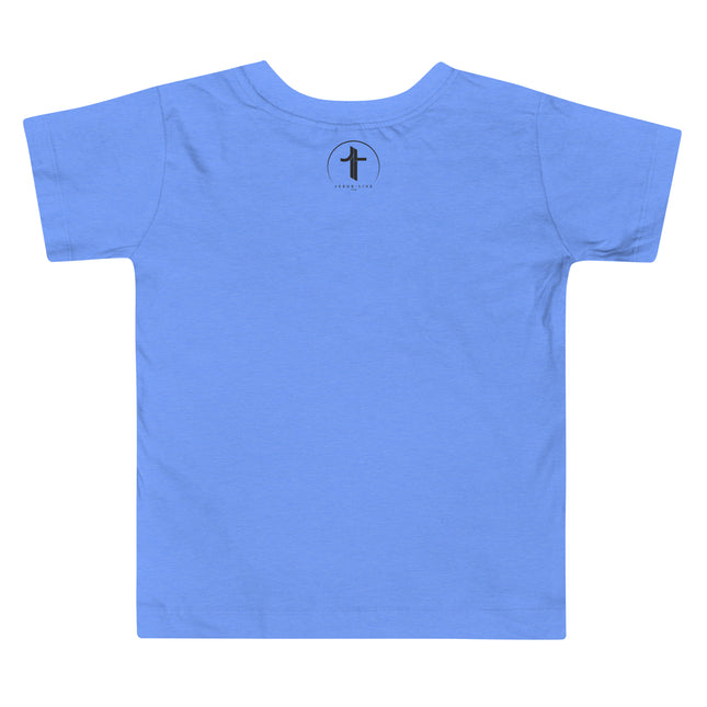 Heather Columbia Blue