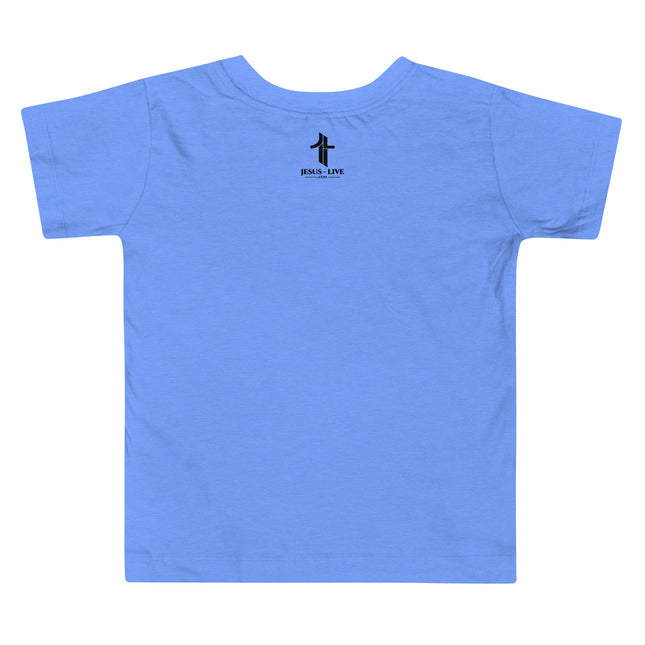 Jesus The Truth Christian kids t-shirt in Heather Columbia Blue, back view