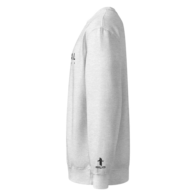 Revival America Christian sweatshirt in Heather Grey, left side view
