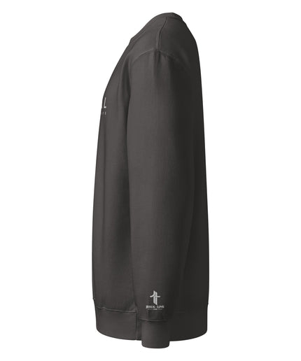 Revival Way Truth Life Christian sweatshirt in Smoke, left side view