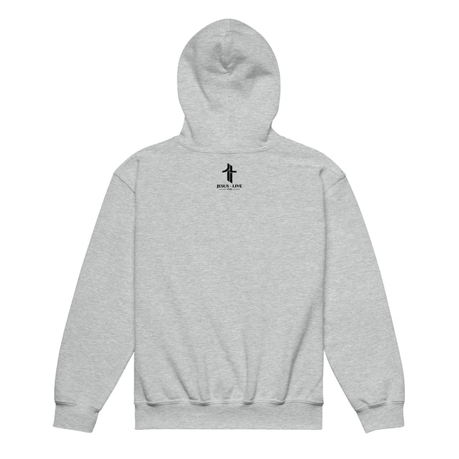 Jesus The Truth Christian youth hoodie in Sport Grey, back view