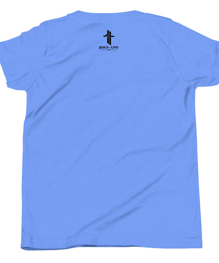 Jesus Way Truth Life Christian youth t-shirt in Heather Columbia Blue, back view